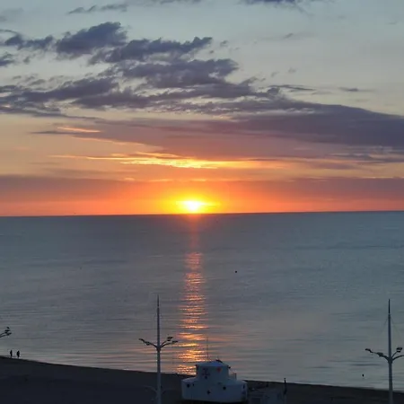 Albatros קאנט אן רוסיון