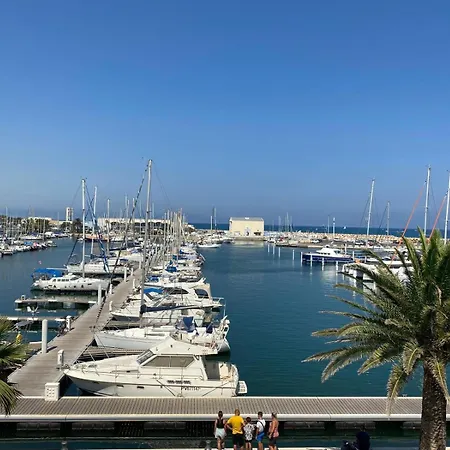 Albatros * קאנט אן רוסיון