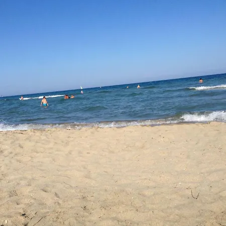 Albatros קאנט אן רוסיון