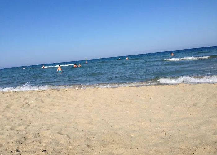 Albatros Canet-en-Roussillon